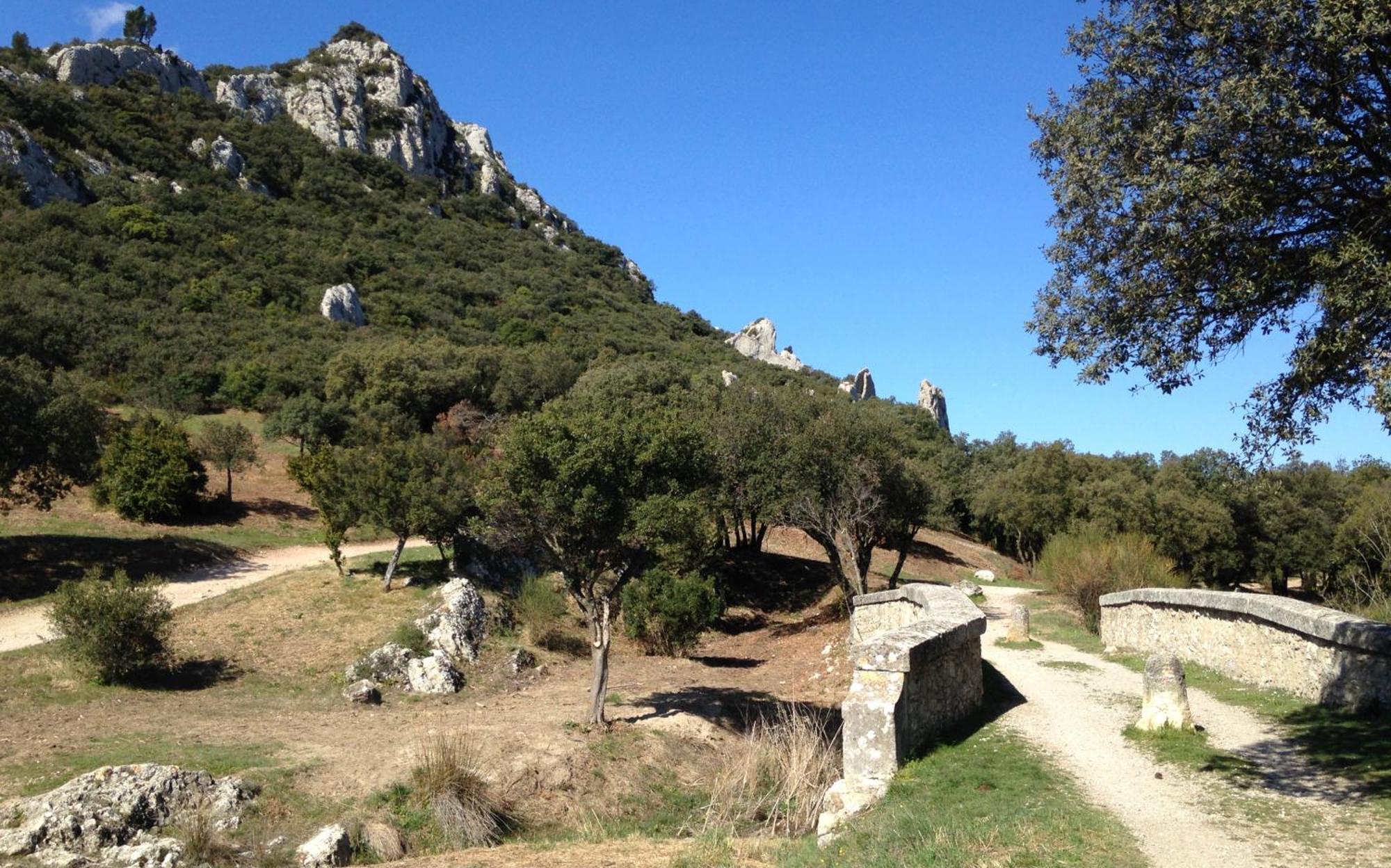Les Lavandins-Gite Magali Saint-Rémy-de-Provence Exterior foto