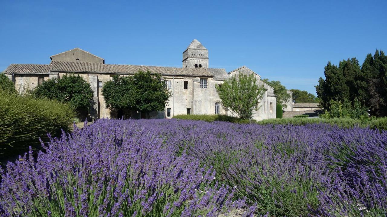 Les Lavandins-Gite Magali Saint-Rémy-de-Provence Exterior foto