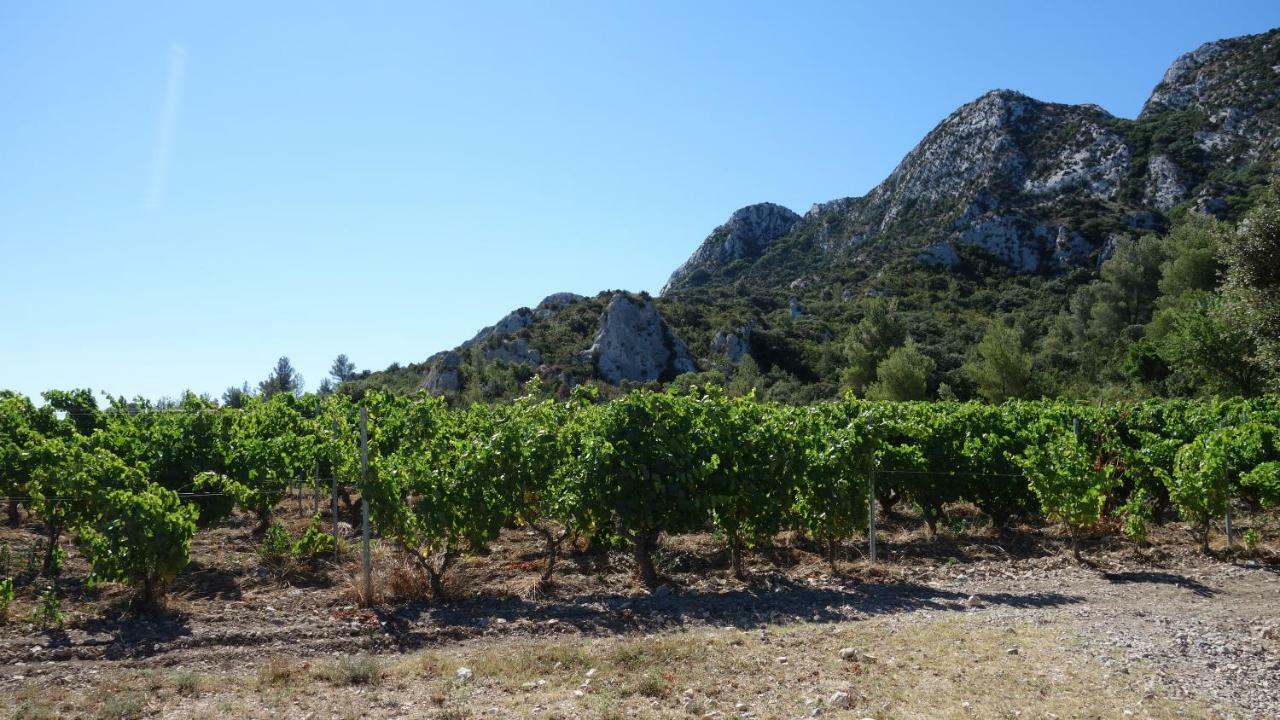 Les Lavandins-Gite Magali Saint-Rémy-de-Provence Exterior foto