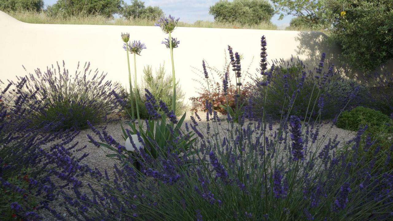 Les Lavandins-Gite Magali Saint-Rémy-de-Provence Exterior foto
